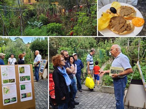 scambisti saronno|Scambisti Saronno 